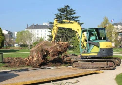 Dessouchage à Brunoy