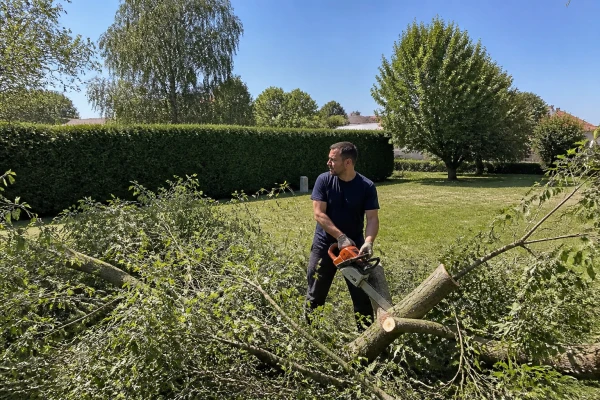 Coupe d'arbre Varennes Jarcy