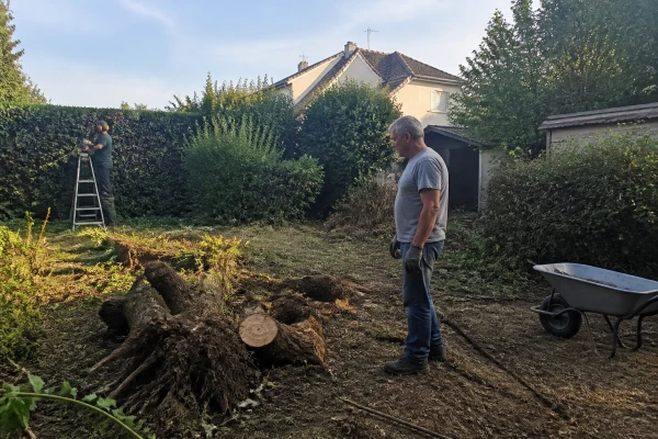 Dessouchage Varennes Jarcy